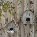 Dekorativt fuglehus Dekorativ redekasse i træ med naturlig bark hvidvasket H23cm B25cm