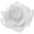 Floristik24 Voks rose hvid Ø10cm Vokset kunstig blomst 6stk