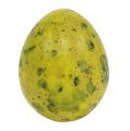 Floristik24 Vagtelæg 3cm Gul blæst æg 50 stk