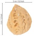 Valnødder til pynt, naturprodukt, 3-4 cm, 300 g | Floristik24.dk