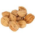 Floristik24 Valnødder, et naturprodukt til borddekoration og gør-det-selv-projekter. Naturlige valnødder, 4-5 cm, 300 g.