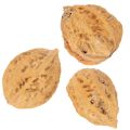 Valnødder, et naturprodukt til borddekoration og gør-det-selv-projekter. Naturlige valnødder, 4-5 cm, 300 g. | Floristik24.dk