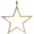 Floristik24 Julepyntstjerne, adventsdekoration, stjernevedhæng Gylden B24,5cm