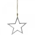 Floristik24 Julepyntstjerne, adventsdekoration, stjernevedhæng sølv B24,5cm