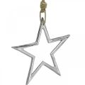 Floristik24 Julepyntstjerne, adventsdekoration, stjernevedhæng sølv B15,5cm