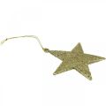 Floristik24 Julepynt stjernevedhæng gylden glitter 10cm 12stk