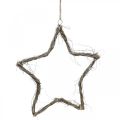 Floristik24 Julepynt stjerne hvidvaskede stjerner til at hænge op elm 30cm 4stk
