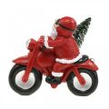 Floristik24 Dekorativ julemandsfigur på motorcykel med grantræ 19,5×13×16cm
