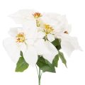 Floristik24 Kunstig julestjerne, hvid, storblomstret, dekorativ plante, 40 cm
