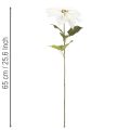 Kunstig hvid julestjerne, stor blomstrende grendekoration, 65 cm, 2 stk. | Floristik24.dk