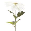 Kunstig hvid julestjerne, stor blomstrende grendekoration, 65 cm, 2 stk. | Floristik24.dk