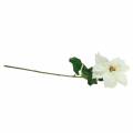 Poinsettia kunstig blomst hvid 67cm | Floristik24.dk