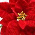 Floristik24 Julestjerne kunstig blomst rød 67cm