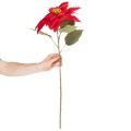 Kunstig julestjerne rød dekoration med enkelt stilk 82 cm | Floristik24.dk
