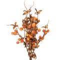 Kunstig hagtorngren, efterårsdekoration, 75 cm | Floristik24.dk