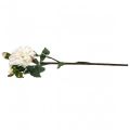 Floristik24 Hvide roser kunstig rose stor med tre knopper 57cm