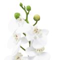 Floristik24 Hvid kunstig orkidé Phalaenopsis Real Touch 32cm