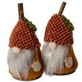 Gnome-figursæt med strikket hue og agern, 10 cm, 6 dele | Floristik24.dk