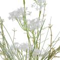 Floristik24 Have blomster hvid L50cm 3stk