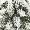 Vinterpynt juletræ i grøn hvid Ø7cm H14cm 4stk | Floristik24.dk