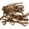 Floristik24 Dekorative trægrene og grundstammer, naturligt tørrede, 18 cm, 500 g