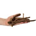 Dekorative trægrene og grundstammer, naturligt tørrede, 18 cm, 500 g | Floristik24.dk
