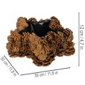 Koglepotte, stjerneformet, 30 cm | Floristik24.dk