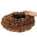 Rund koglepotte som plantekasse, 38 cm; rund koglepotte, naturbrun, lavet af kogler, 38 cm x 14 cm | Floristik24.dk