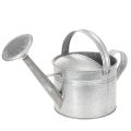 Floristik24 Vintage vandkande i zink, 27 cm - plantekasse til have og terrasse, metalblomsterpotte