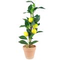 Floristik24 Citrontræ i potte kunstig plante 42cm