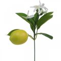 Floristik24 Deco gren citron og blomster kunstig gren sommerdekoration 26cm 4stk
