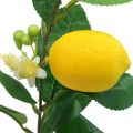 Floristik24 Deco gren citron kunstig citron gren 42cm 3 stk