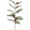 Floristik24 Kunstig plante deco gren grøn rød brun skum H68cm