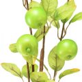 Floristik24 Kunstig dekorativ æblegren grøn 80cm