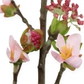 Floristik24 Cherry Blossom Branch Pink 95cm