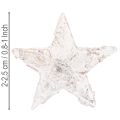 Birkestjerner mini 2cm - 2,5cm hvidkalkede 150 stk | Floristik24.dk