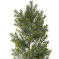 Floristik24 Kunstig grangren-guirlande til kreativ blomsterdekoration, 175 cm