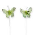 Floristik24 Dekorativ sommerfugl på trådgrøn 8 cm 12stk