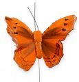Floristik24 Dekorativ sommerfugl på wiren orange 8 cm 12stk