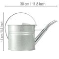 Vintage dekorativ vandkande, metal, sølv, 1,25l plantekasse | Floristik24.dk