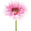 Floristik24 Kunstige Gerbera Haveblomster, Pink, 47cm, 6 Stk.