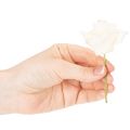 Kunstig rose, cremefarvet, 10 cm blomst på stilk, 100 stk. | Floristik24.dk
