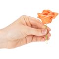 Kunstig orange rose, 5 cm blomst, enkelt, 100 stk. | Floristik24.dk