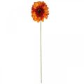 Floristik24 Kunstig gerbera blomst, kunstig blomst orange Ø11cm 50cm