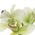 Floristik24 Kunstige orkideer kunstige blomster i vase hvid/grøn 28cm