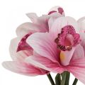 Floristik24 Kunstige orkideer kunstige blomster i vase hvid/pink 28cm