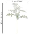 Kunstig Senecio-gren (brandbær), detaljeret fremstillet, 45 cm, 3 stk. | Floristik24.dk