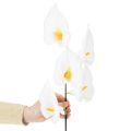 Kunstig calla med gul støvdrager, dekorative blomster, 35 cm, 10 stk. | Floristik24.dk