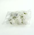 Floristik24 Mini skum rose hvid 12stk