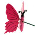 Floristik24 Sommerfugl på pind 8cm Pink
